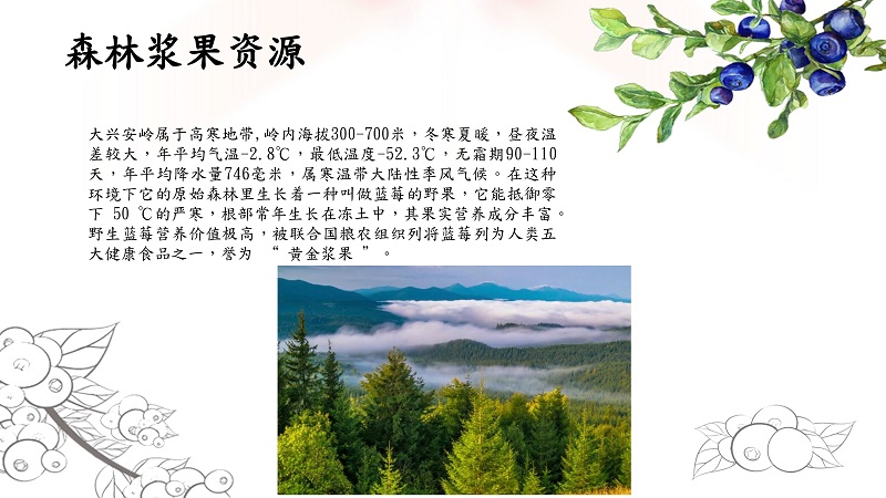 北极冰野生蓝莓果汁-5.jpg