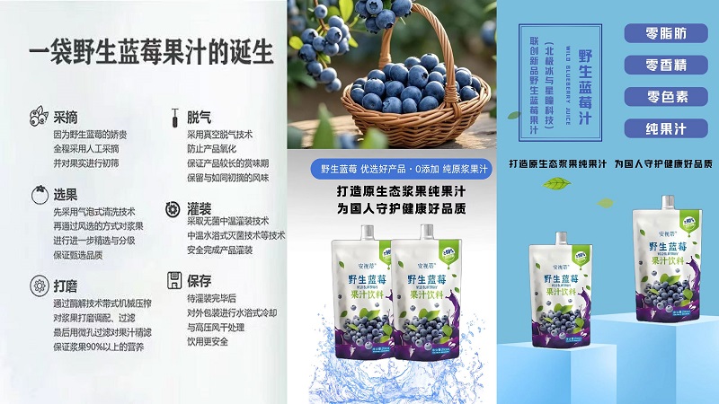 北极冰野生蓝莓果汁-10.jpg